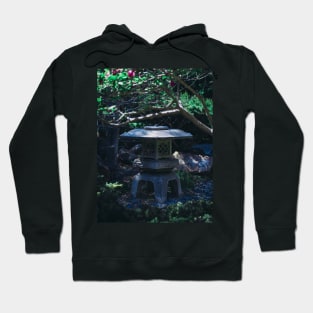 Photography of a Toro Japanese Lantern Garden V2 Hoodie